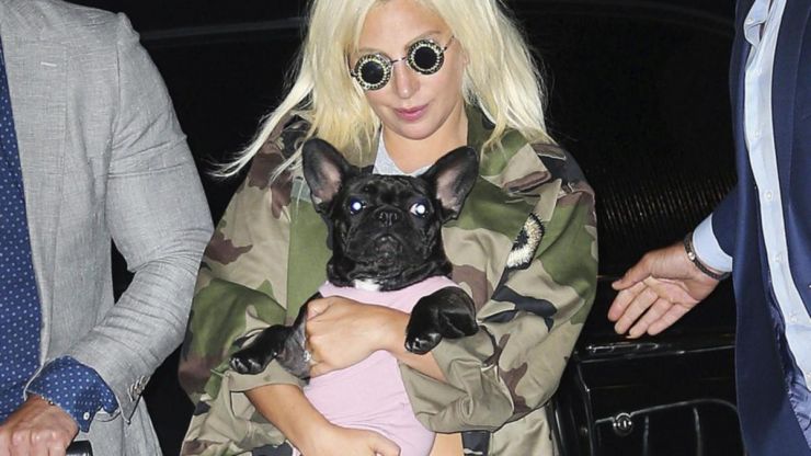 Cachorros de Lady Gaga são roubados de passeador
